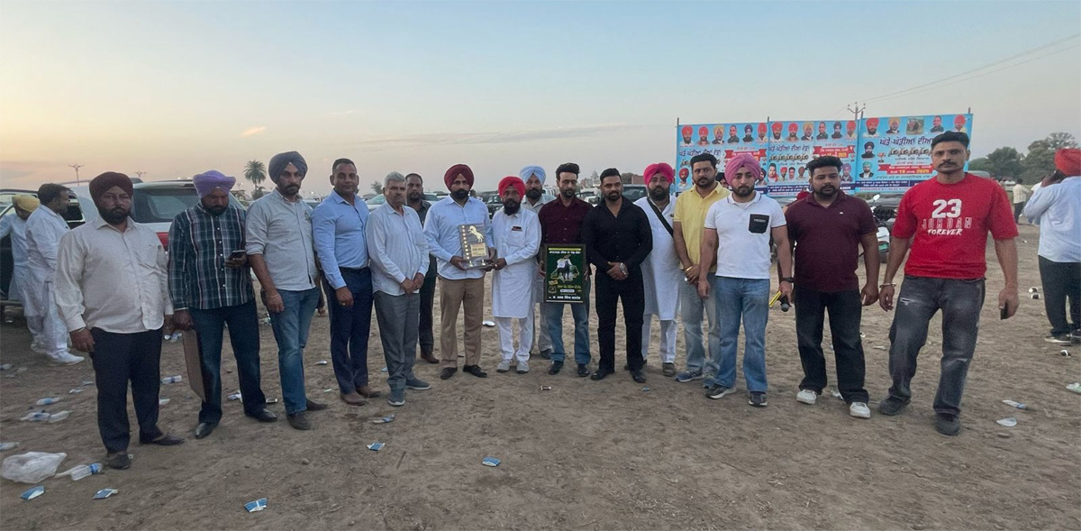Horse and mare competitions held